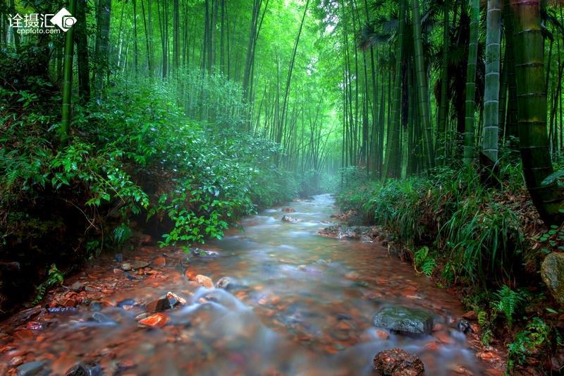 快刺水果